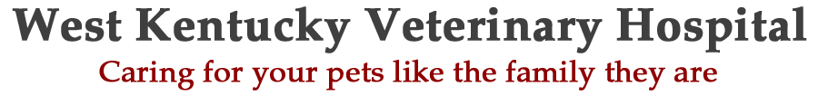 West Kentucky Veterinary Hospital
