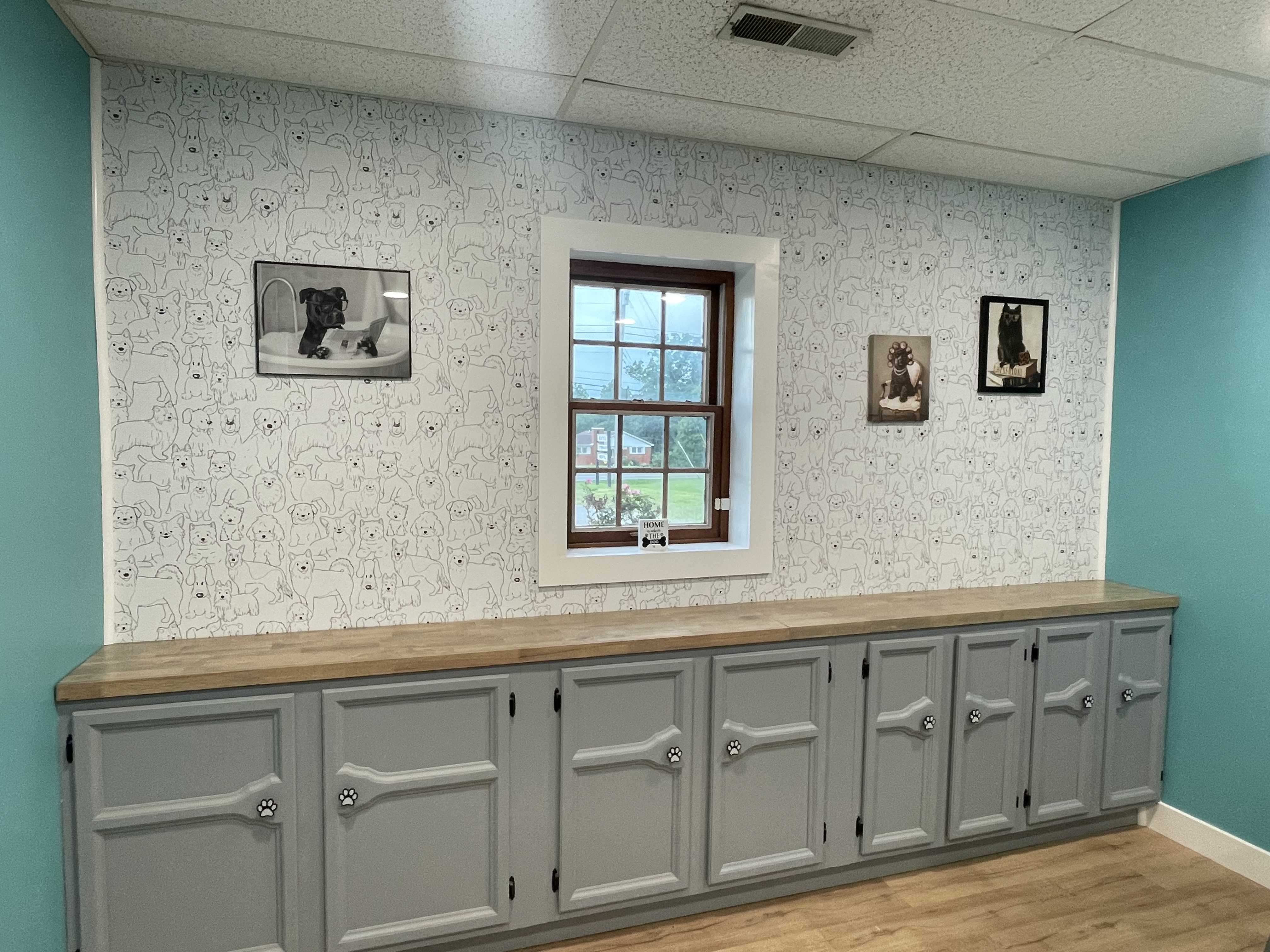 Dog Spa - image 4