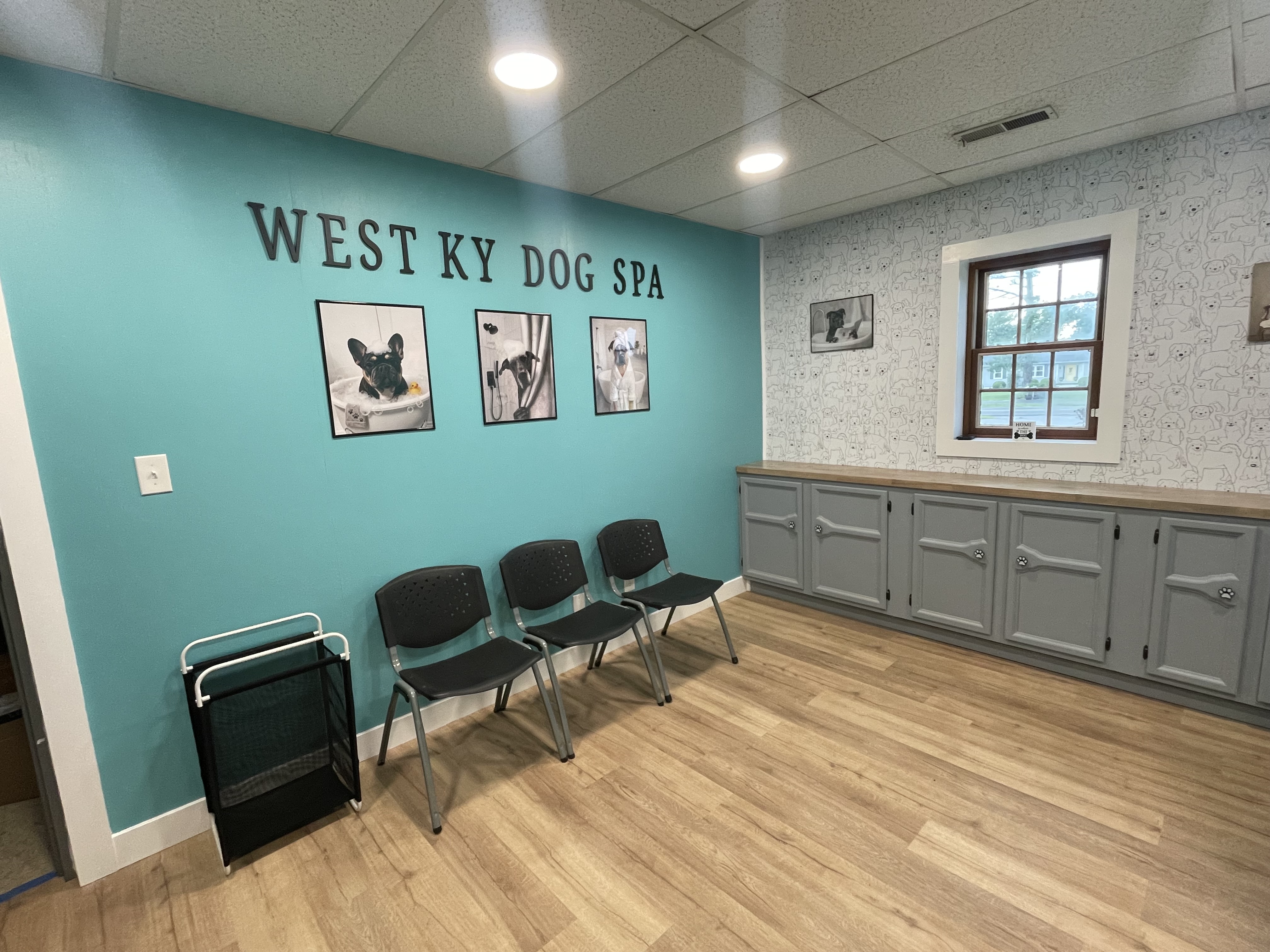 Dog Spa - image 1