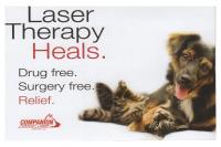 Laser Therapy Banner