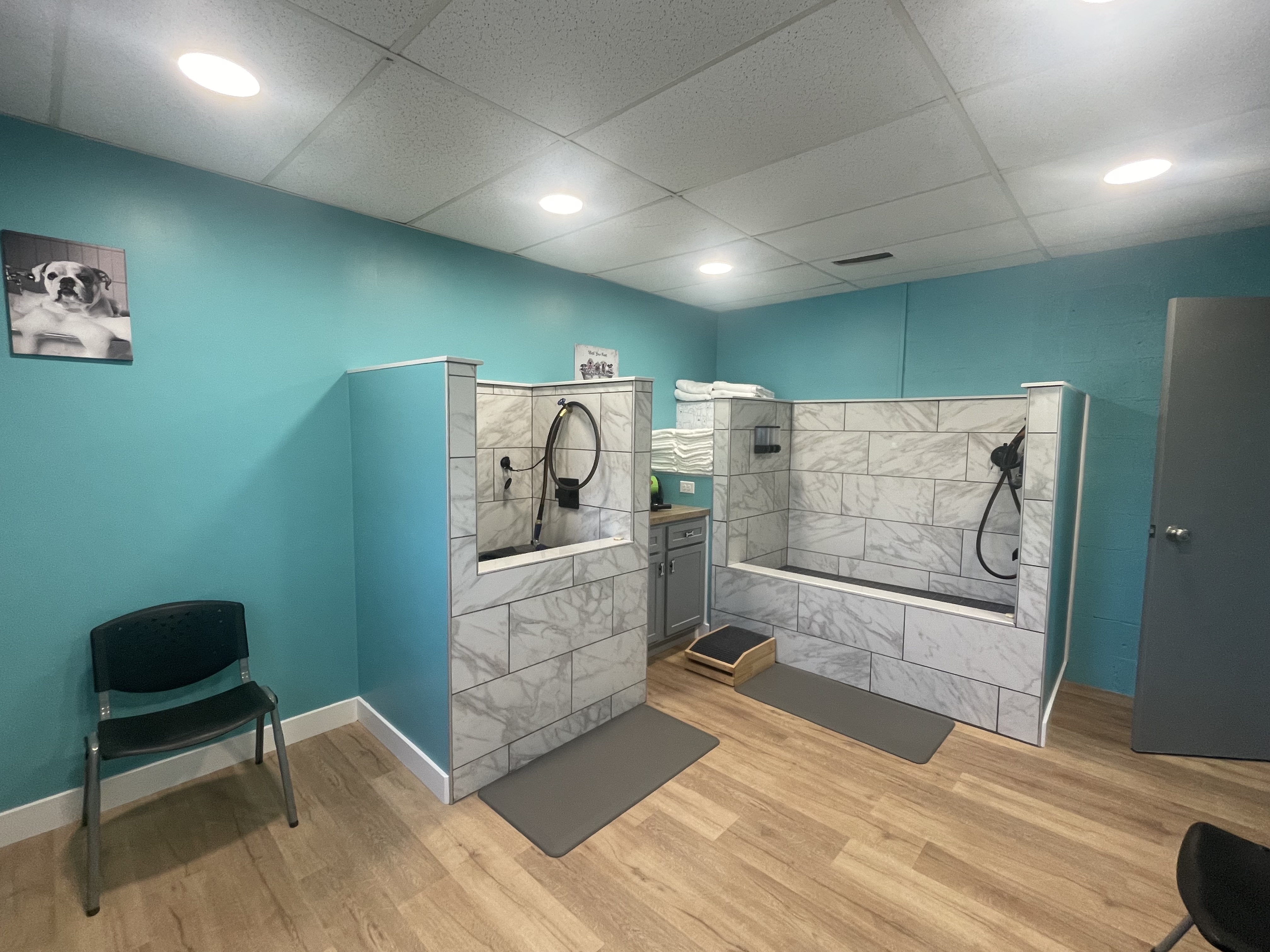 Dog Spa - image 2