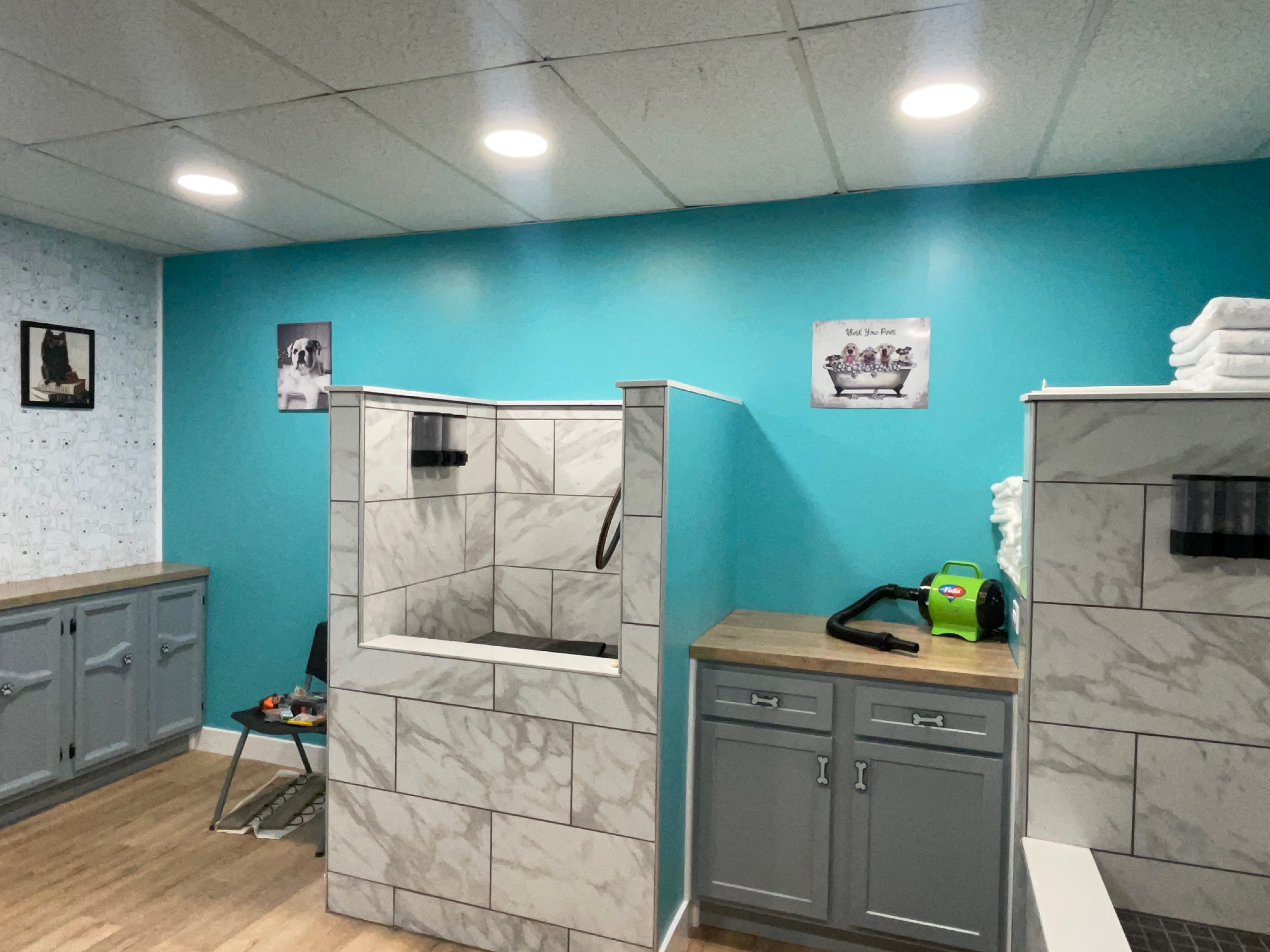 Dog Spa - image 3
