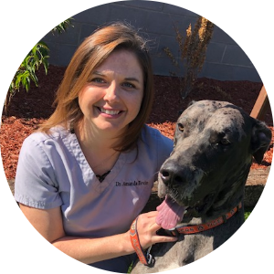 Profile for Amanda Ervin